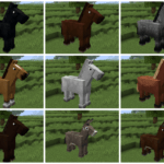 How to Breed Horses in Minecraft?