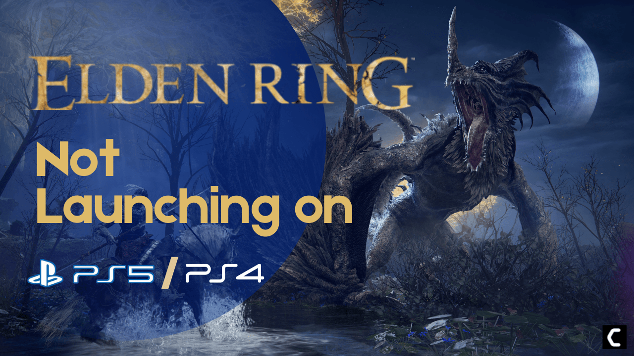 Elden Ring Not Launching on PS4/PS5