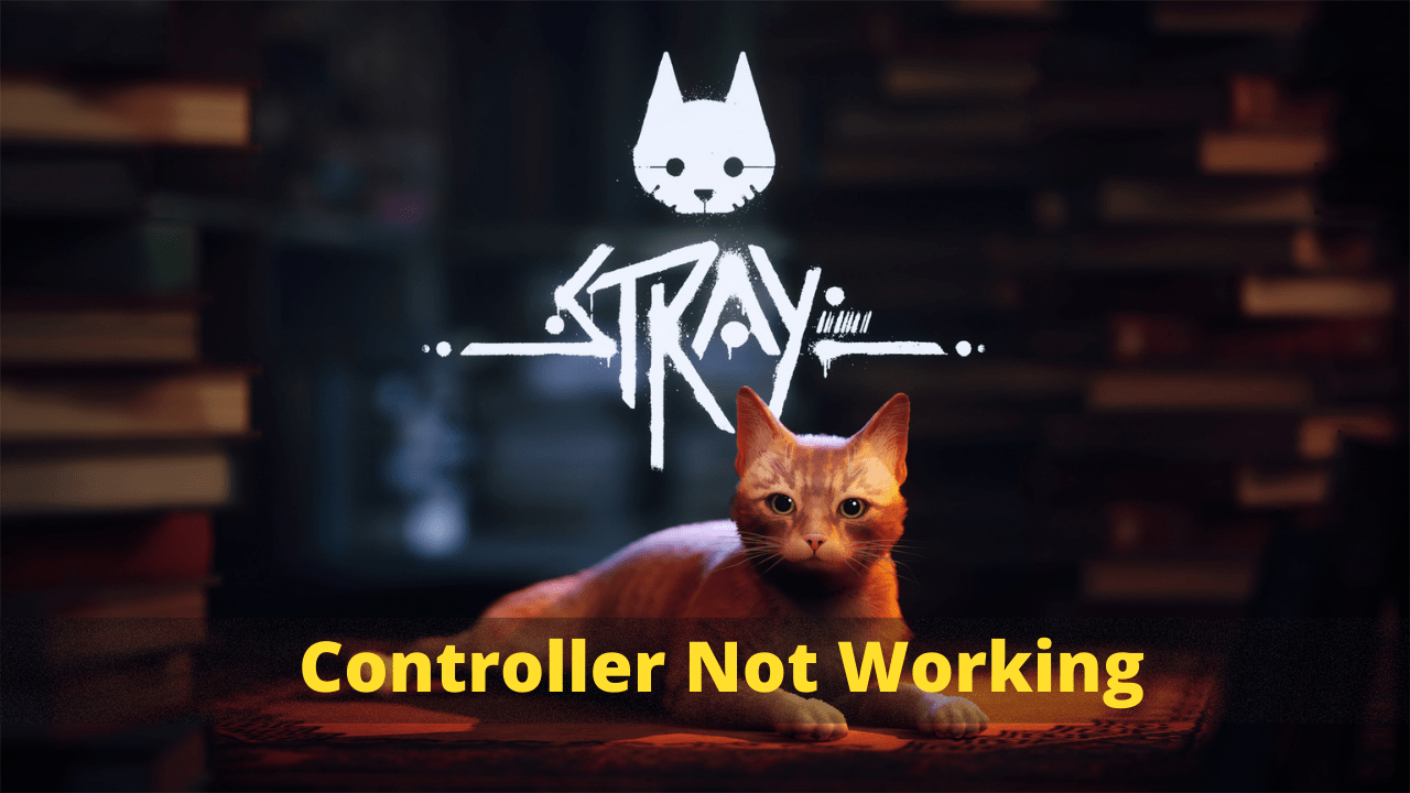 Stray Controller Not Working On Windows 11? 6 Best Fixes