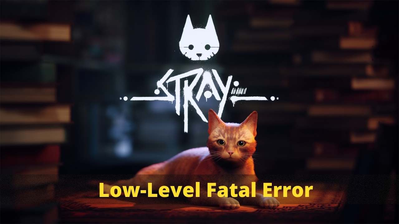 How to Fix Stray Low-Level Fatal Error